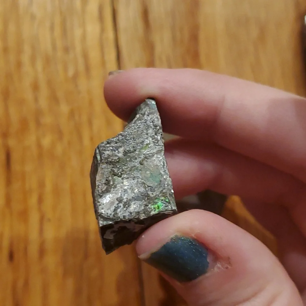 Ammolite fossil lot - Picture 11 of 12